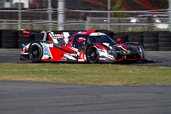 2019-Roar24-Document Name-0040